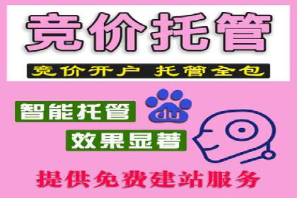 某行业sem竞价托管代运营的实战经验